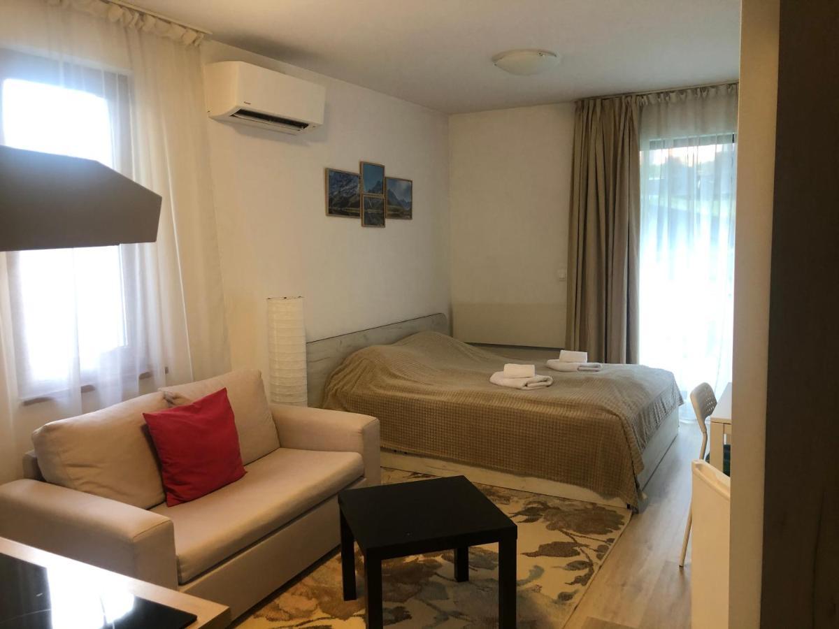 Temerso Studio-Apartment Bansko Buitenkant foto